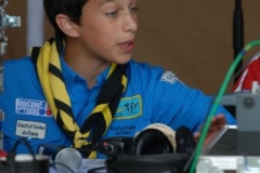 100 ans du scoutisme, Chamarande (Essonne)